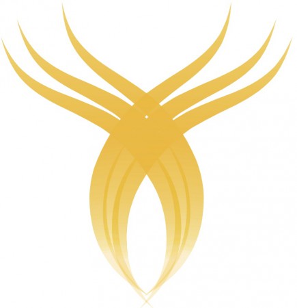 Leitura das Cartas Angelicais